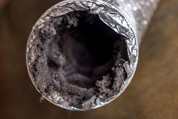 Best Air Duct Cleaning Near Me  in Winner, SD